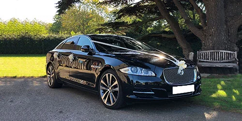 jaguar on rent in ranchi